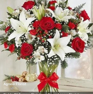 Meet your Posher, Martine